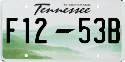 TN license plate F1253B