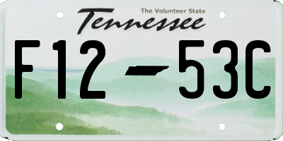 TN license plate F1253C