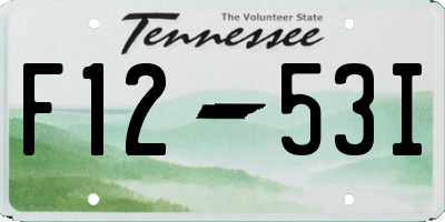 TN license plate F1253I