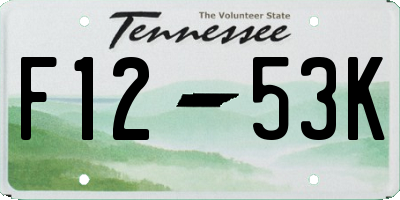 TN license plate F1253K