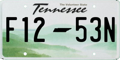 TN license plate F1253N