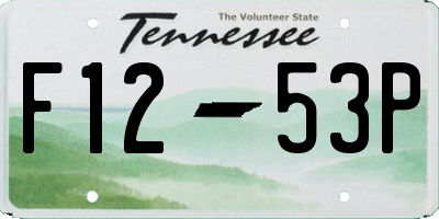 TN license plate F1253P