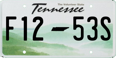 TN license plate F1253S