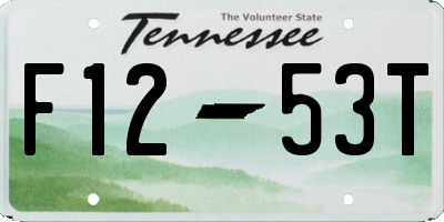 TN license plate F1253T