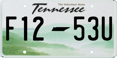 TN license plate F1253U