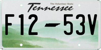 TN license plate F1253V