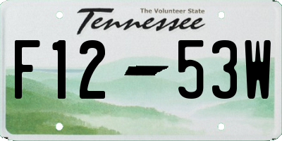 TN license plate F1253W