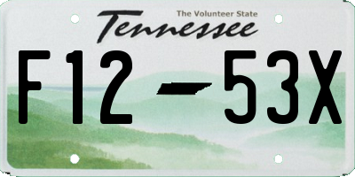 TN license plate F1253X