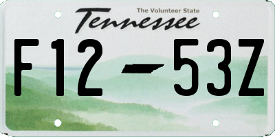 TN license plate F1253Z