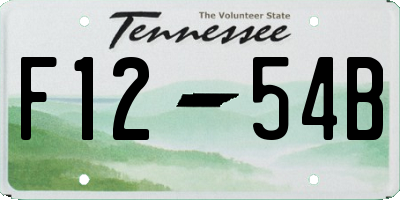 TN license plate F1254B