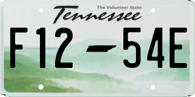 TN license plate F1254E