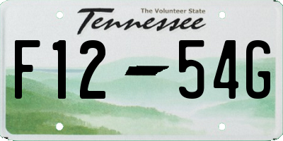 TN license plate F1254G