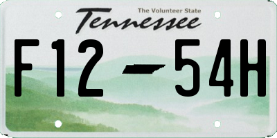 TN license plate F1254H