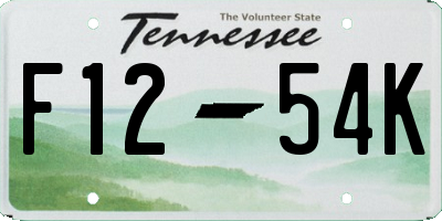 TN license plate F1254K