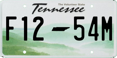 TN license plate F1254M