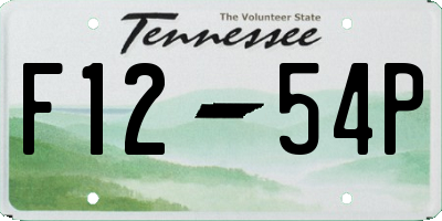 TN license plate F1254P