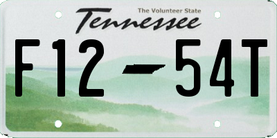 TN license plate F1254T