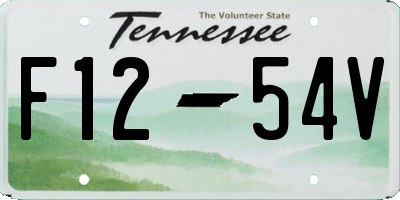 TN license plate F1254V