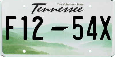 TN license plate F1254X