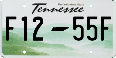 TN license plate F1255F
