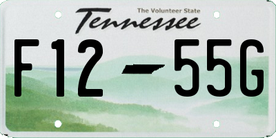 TN license plate F1255G