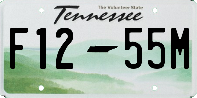 TN license plate F1255M