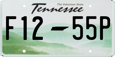 TN license plate F1255P