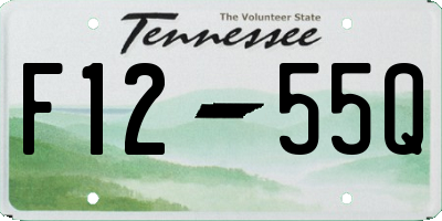 TN license plate F1255Q
