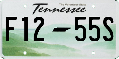 TN license plate F1255S