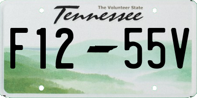 TN license plate F1255V