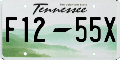 TN license plate F1255X