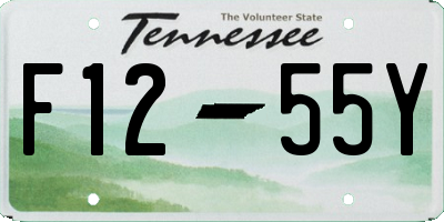 TN license plate F1255Y