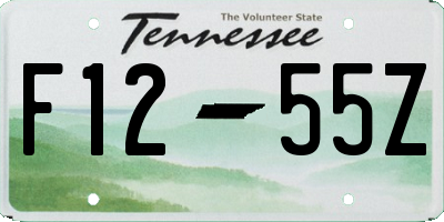 TN license plate F1255Z