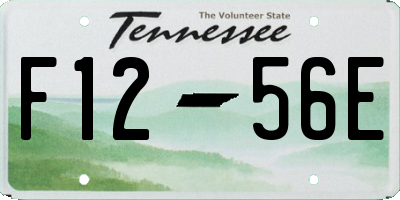 TN license plate F1256E