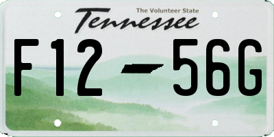 TN license plate F1256G