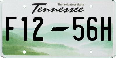 TN license plate F1256H