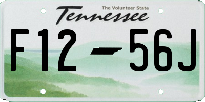 TN license plate F1256J