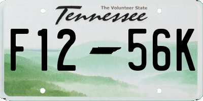 TN license plate F1256K