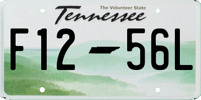 TN license plate F1256L