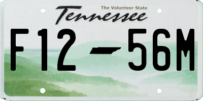 TN license plate F1256M