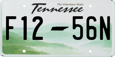 TN license plate F1256N