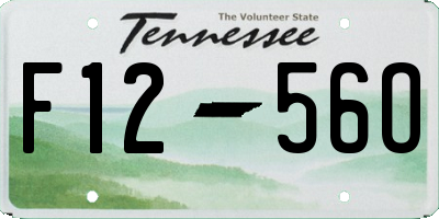 TN license plate F1256O