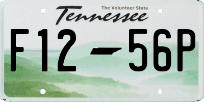 TN license plate F1256P