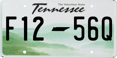 TN license plate F1256Q