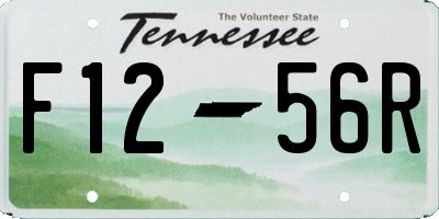 TN license plate F1256R