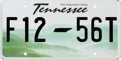 TN license plate F1256T