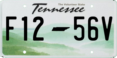 TN license plate F1256V