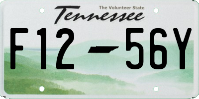 TN license plate F1256Y