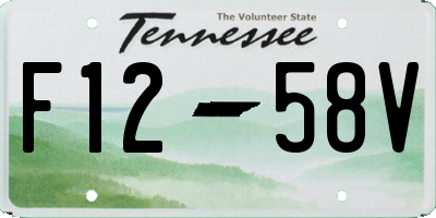TN license plate F1258V