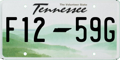 TN license plate F1259G